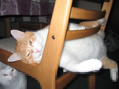 拉梅洛用魔法编织节奏，独行侠以掌控诠释胜利—一场节奏与天赋的碾压式教学